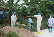 Đề phòng lốc, mưa đá và gió giật mạnh