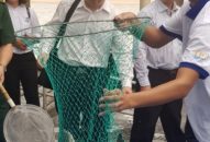 Thả cá giống tái tạo nguồn lợi J88.com Đăng nhập, Đăng ký trang chủ nhà cái J88 trong Vịnh Bắc bộ