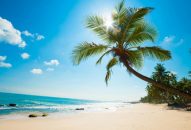 Bay Cần Thơ, khám phá Vân Đồn, Phú Quốc với hàng triệu vé Vietjet từ 0 đồng