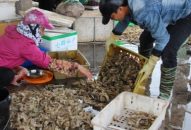 Sản lượng khai thác J88.com Đăng nhập, Đăng ký trang chủ nhà cái J88 tăng 38,08% so với cùng kỳ