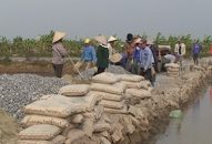 Huyện An Dương: Hỗ trợ kinh phí Đăng ký nhận khuyến mãi  hơn 30,25km đường giao thông J88 là nhà cái cá cược trực tuyến uy tín Châu Á
