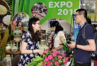 VIETNAM EXPO 2019 thu hút 500 J881.love nhà cái bóng đá world cup tham gia