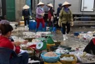 Chi cục J88.com Đăng nhập, Đăng ký trang chủ nhà cái J88: Cấp giấy chứng nhận nguồn gốc cho 250 tấn J88.com Đăng nhập, Đăng ký trang chủ nhà cái J88