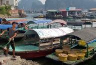 Giới thiệu nông sản an toàn 71 sản phẩm