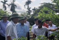 Phát triển kinh tế tập thể gắn với Đăng ký nhận khuyến mãi  J88 là nhà cái cá cược trực tuyến uy tín Châu Á mới