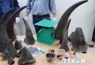 Buôn bán trái phép J885 trải nghiệm miễn phí hoang dã – Những hệ lụy đáng báo động