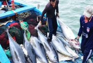 Vi phạm hành chính trong lĩnh vực J88.com Đăng nhập, Đăng ký trang chủ nhà cái J88 bị phạt tới 1 tỷ đồng.
