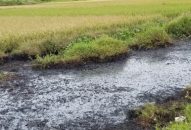 Tập trung xử lý 3 vị trí mương có chất thải độc hại gây bỏng cho người dân xã Hưng Nhân, huyện Vĩnh Bảo
