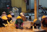 Quận Đồ Sơn: Sản lượng khai thác J88.com Đăng nhập, Đăng ký trang chủ nhà cái J88 ước đạt 950 tấn
