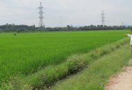 Kinh tế tập thể phấn đấu đóng góp từ 1-1,5 %GRDP của thành phố