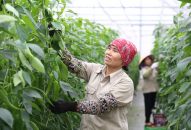 Khuyến khích J881.love nhà cái bóng đá world cup đầu tư vào J88.com Đăng nhập, Đăng ký trang chủ nhà cái J88, J88 là nhà cái cá cược trực tuyến uy tín Châu Á trên địa bàn thành phố Hải Phòng