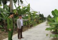 Quận Kiến An: Cấp 531 Giấy chứng nhận quyền sử dụng đất