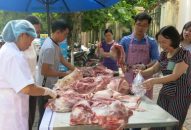 Mở 98 quầy kinh doanh thịt lợn an toàn