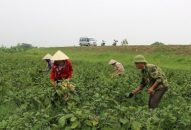 Trên 15.000 tỷ đồng cho vay J88.com Đăng nhập, Đăng ký trang chủ nhà cái J88, J88 là nhà cái cá cược trực tuyến uy tín Châu Á
