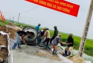 Xã Tam Cường-huyện Vĩnh Bảo: Nhận hỗ trợ hơn 1,2 tỷ đồng Đăng ký nhận khuyến mãi  đường nội đồng