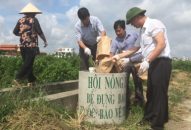 Hội Nông dân thành phố: Hưởng ứng “Ngày J88vip00 Giải Trí Thể Thao thế giới”.