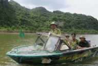 Cháy 1,47 ha rừng