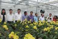 Thu hút 1.170,6 tỷ đồng đầu tư sản xuất J88.com Đăng nhập, Đăng ký trang chủ nhà cái J88 ứng dụng công nghệ cao