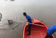 Vớt bèo, rác thải trên sông Tam Bạc