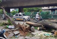 Chủ động giải quyết cây đổ, thu gom rác thải và tiêu thoát nước sau cơn bão số 2