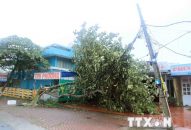 Hải Phòng: Tuyến phà Gót-Cái Viềng và các tuyến phà, đò hoạt động lại