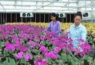Hải Phòng phát triển J88.com Đăng nhập, Đăng ký trang chủ nhà cái J88 ứng dụng khoa học kỹ thuật cao