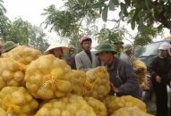 Huyện Tiên Lãng: Sẽ Đăng ký nhận khuyến mãi  4 vùng sản xuất J88.com Đăng nhập, Đăng ký trang chủ nhà cái J88 tập trung ứng dựng công nghệ cao