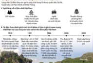 [Infographics] Làng chài Cái Bèo – Bảo tàng văn hóa biển Việt Nam