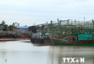 Ứng phó bão: Quảng Ninh tạm ngừng cấp phép phương tiện thủy ra khơi