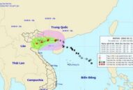 Thứ trưởng Bộ Nông nghệp: Không được chủ quan trong ứng phó bão số 3