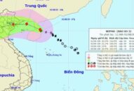Cấm phương tiện lưu thông qua cầu Bạch Đằng và dừng hoạt động sân bay Vân Đồn do ảnh hưởng của cơn bão số 3