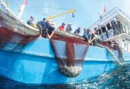 Dư nợ cho vay phát triển J88.com Đăng nhập, Đăng ký trang chủ nhà cái J88 đạt 662,86 tỷ đồng