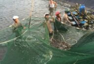 Chủ động phòng chống dịch bệnh cho đàn J88.com Đăng nhập, Đăng ký trang chủ nhà cái J88 nuôi