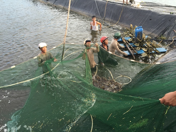 Tổng sản lượng nuôi trồng J88.com Đăng nhập, Đăng ký trang chủ nhà cái J88 7 tháng qua đạt 41.092,3 tấn