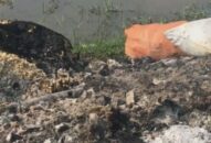 Kiến An (Hải Phòng): Cần ngăn chặn tình trạng đốt rác thải y tế và linh kiện điện tử tại phường Tràng Minh