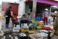 Sản lượng khai thác J88.com Đăng nhập, Đăng ký trang chủ nhà cái J88 đạt 57,7 nghìn tấn