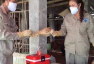 Chi cục J881 tải ứng  & Link Trang Chủ J88.COM Uy Tín Mới Nhất 2026: Tiêm 83.334 liều vắc xin phòng bệnh dại trên đàn chó mèo nuôi