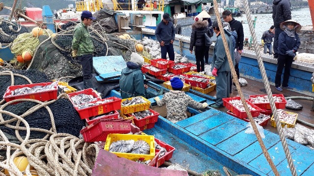 Tổng sản lượng J88.com Đăng nhập, Đăng ký trang chủ nhà cái J88 khai thác đạt 66.206,9 tấn