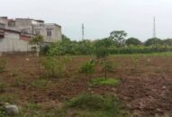 Thị trấn Tiên Lãng (Tiên Lãng):  Xử phạt 4 hộ dân tự ý chuyển san lấp đất J88.com Đăng nhập, Đăng ký trang chủ nhà cái J88 khi chưa được phép