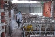Chi cục J881 tải ứng  & Link Trang Chủ J88.COM Uy Tín Mới Nhất 2026: Cấp phát 5.300 tờ rơi hướng dẫn J881 tải ứng  an toàn phòng chống dịch tả lợn Châu Phi