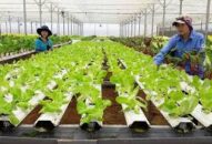 Trên 70 tỷ đồng cho vay thí điểm phát triển J88.com Đăng nhập, Đăng ký trang chủ nhà cái J88