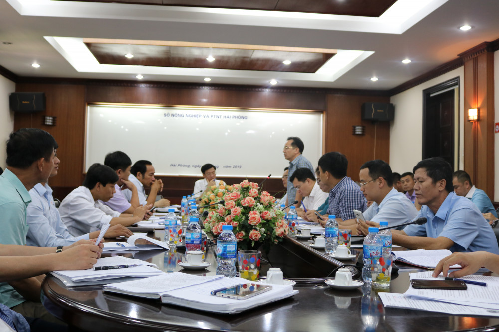 Các đại biểu bàn giải pháp tái đàn lợn nuôi sau dịch tả lợn Châu Phi