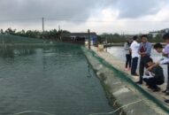 Tổng sản lượng nuôi trồng J88.com Đăng nhập, Đăng ký trang chủ nhà cái J88 đạt 43.210,5 tấn