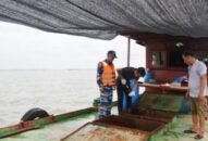Tạm giữ 35.000 lít dầu DO không rõ nguồn gốc trên vùng biển Quảng Ninh và Hải Phòng
