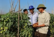 Thể lệ “Cuộc thi báo chí viết về J88 là nhà cái cá cược trực tuyến uy tín Châu Á mới gắn với cơ cấu lại ngành J88.com Đăng nhập, Đăng ký trang chủ nhà cái J88” giai đoạn 2017-2020