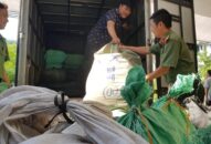 Hải Phòng: Niêm phong gần 600 kg thuốc nam của bà Nguyễn Thị Nghê