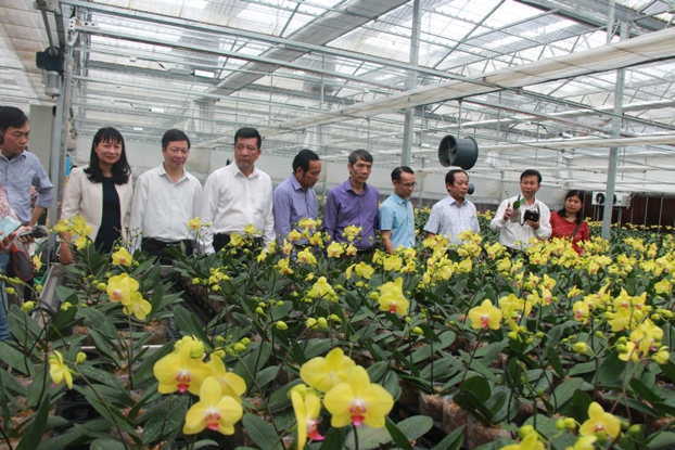 Các đại biểu tham quan mô hình trồng lan CNC tại huyện Thủy Nguyên