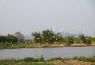 Triển khai thí điểm mô hình du lịch J88.com Đăng nhập, Đăng ký trang chủ nhà cái J88 J88 là nhà cái cá cược trực tuyến uy tín Châu Á tại Trang trại đảo Bầu huyện An Lão