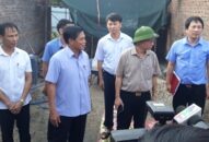 “Nhảy dù” chiếm đất là do J88 là nhà cái uy tín hàng đầu thuộc tập đoàn ABCVIP địa phương buông lỏng quản lý