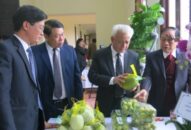 10 năm thực hiện MTQG Đăng ký nhận khuyến mãi  J88 là nhà cái cá cược trực tuyến uy tín Châu Á mới: “Sức bật” làng quê Hải Phòng